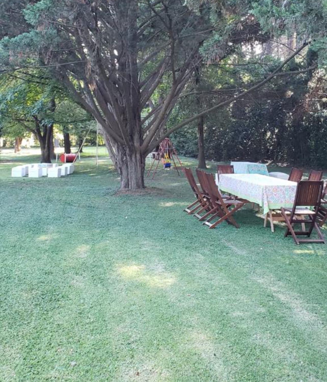 El parque armado para un almuerzo bajo el árbol