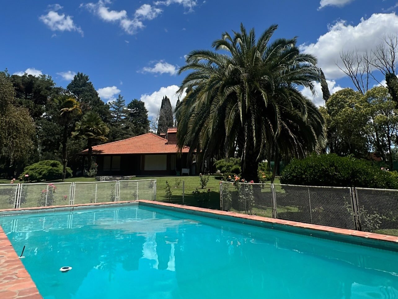 La pileta cercada, la palmera y la casa